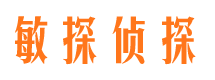 大新市私家侦探